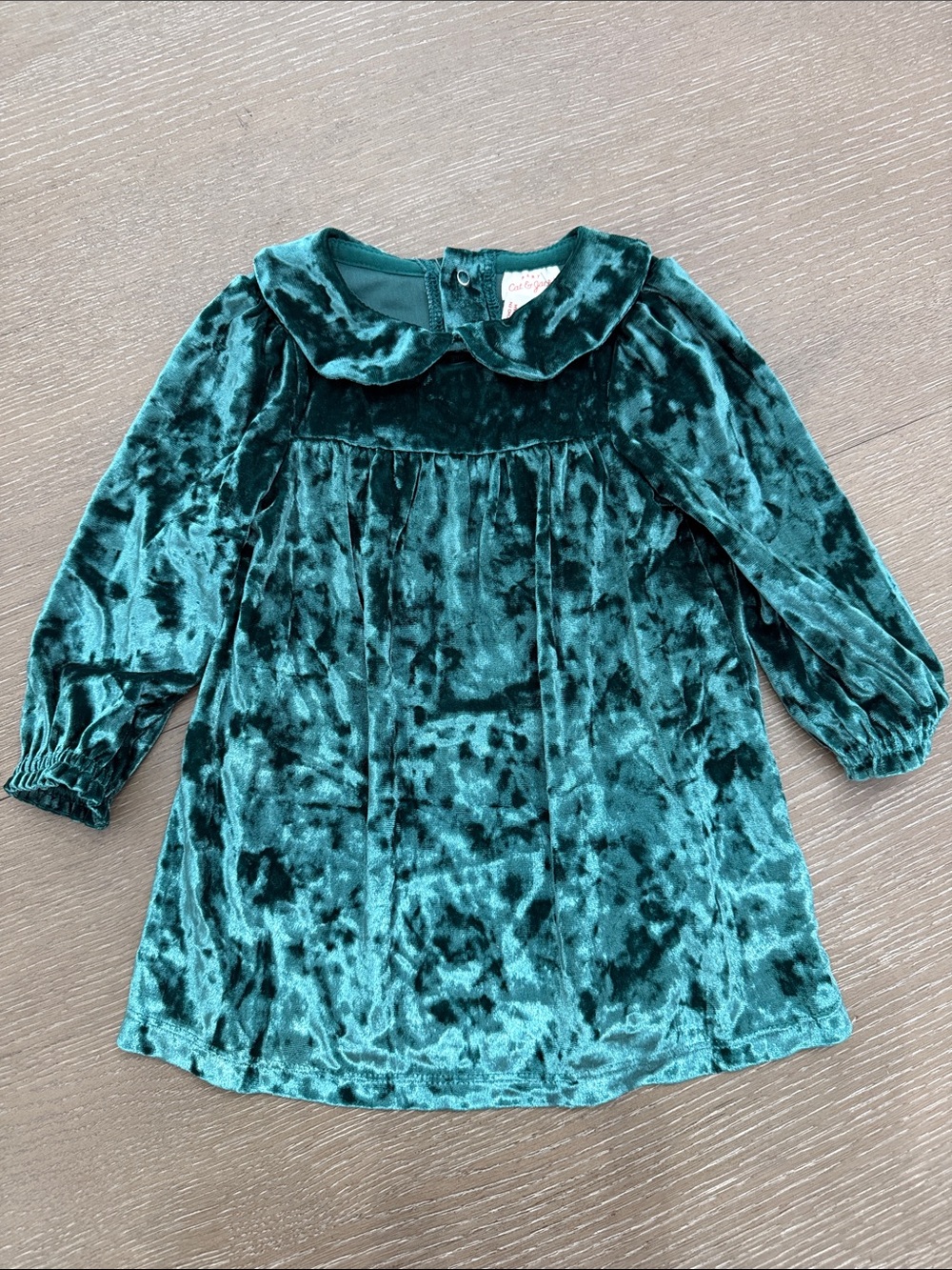 Dark Green Velvet Peter Pan Collar Dress